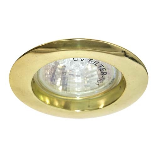 Встраиваемый светильник Feron DL307 золото 15010 15010 фото